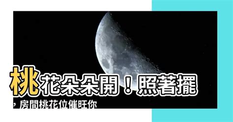 房間放什麼招桃花2023